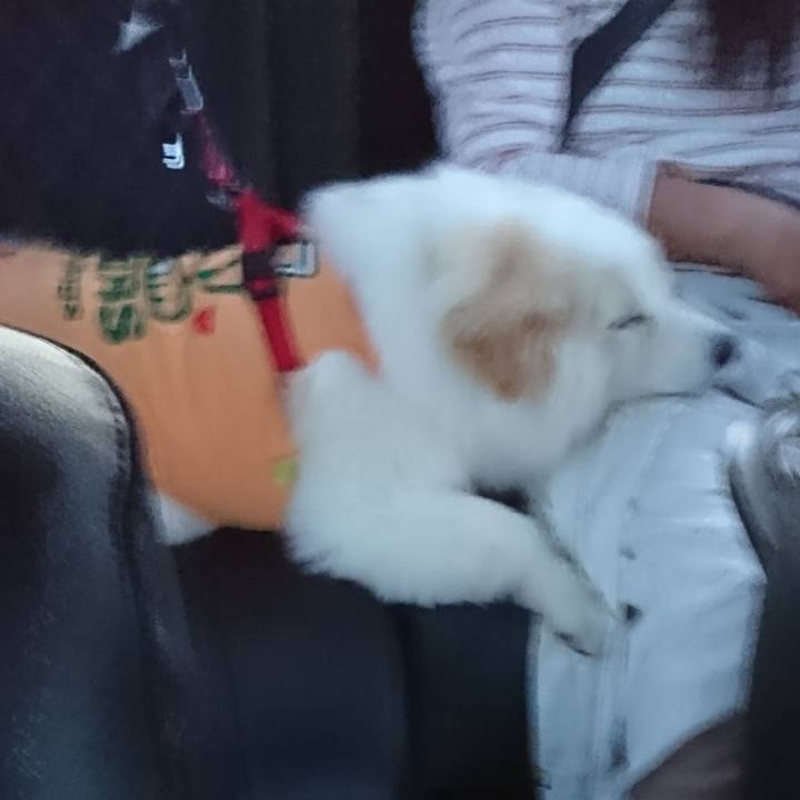 0357c33d 88e5 480b 8866 c900917a0e4d 1525464295012