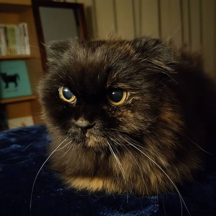 0357e982 7d85 4f80 bde0 d7e0a1713c4f 1764861050840