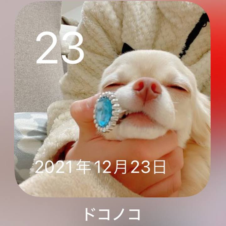 0357ee50 3d45 4861 a6f5 ec6e0106da02 1703333288204