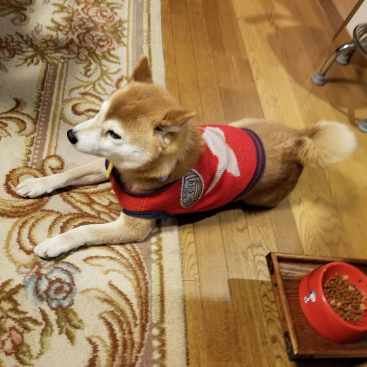 0357f59f 405a 47aa 9cfb 3b998866e89e 1582538337776