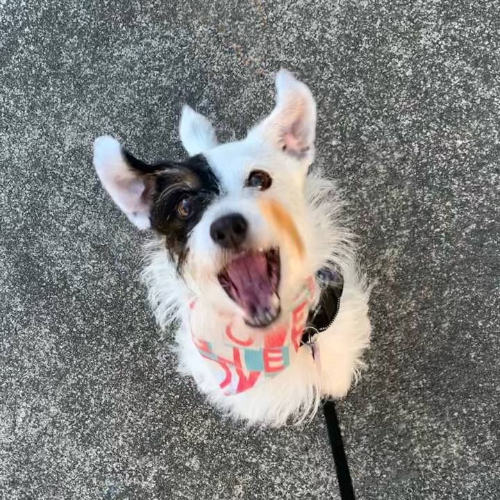 03582a88 667d 48b2 8894 fd654be4e642 1658997267976