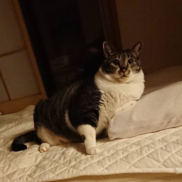 0358467d 8409 47fd 9917 b1a26dcf2888 1561039540828