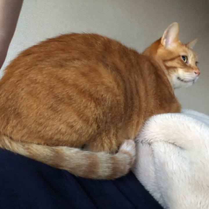 03585e34 bfea 437b a02d a6e6fc8d938c 1728160590320