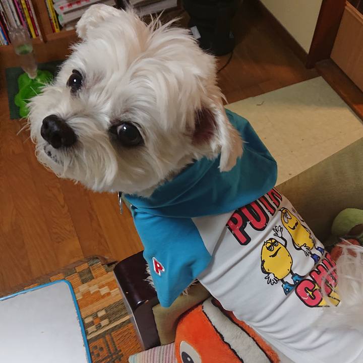 0358999f d445 450f 9e6c 254cf25d4f4f 1597745947639