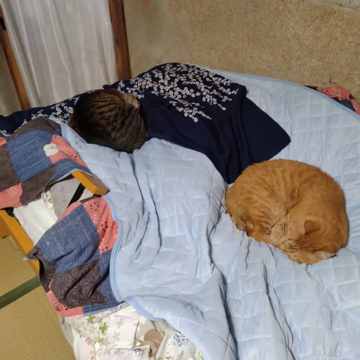 0358b37c f6b5 4fc6 869b 47b957dad2aa 1717142944072