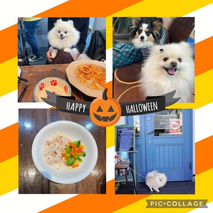 0358eb7d ce9a 40f1 8fff f578694fe278 1634986465730