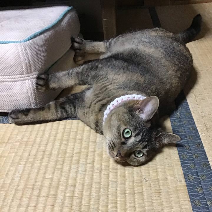 0358f0d2 2699 48bd 8593 b1c793b41ed6 1725346571631