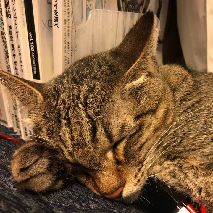 035906b8 4c92 4aa5 844f 7c4485248118 1535382757326