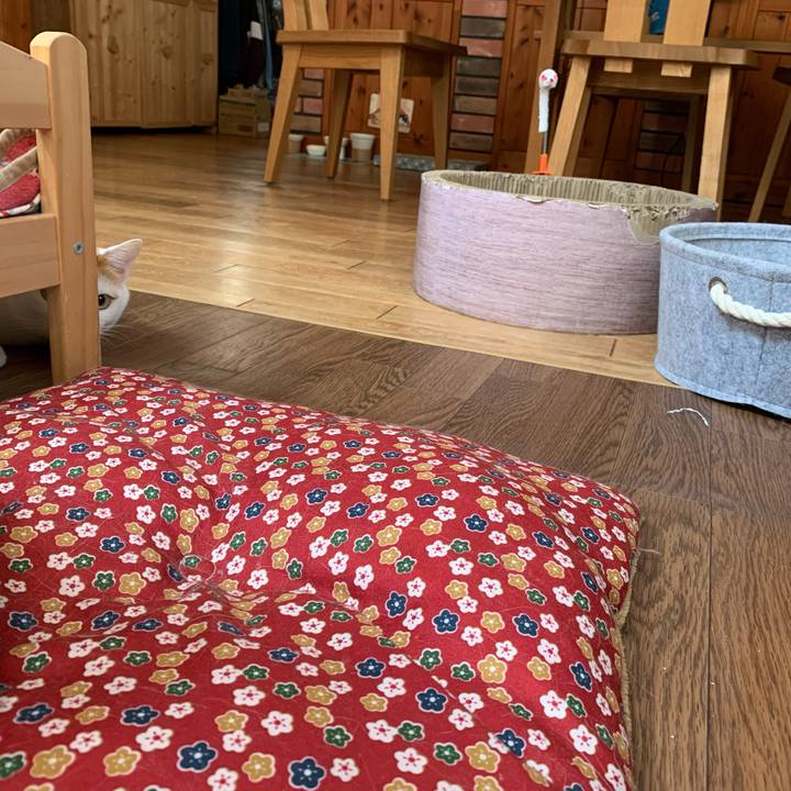 035909a7 ad00 4f7f beca 9d2bd90b3c4c 1587793134957