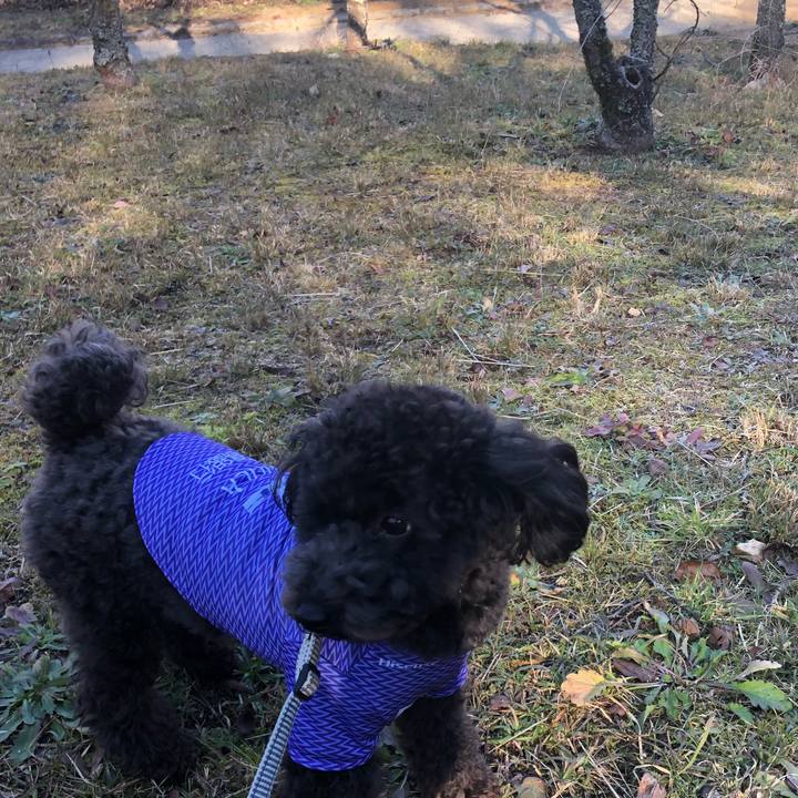 03590df9 0f32 4cd0 a8e6 f1901688e132 1578673700660