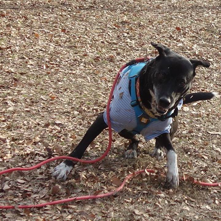 0359132b 01fe 45f1 81bb c6f268fe4686 1703728354522