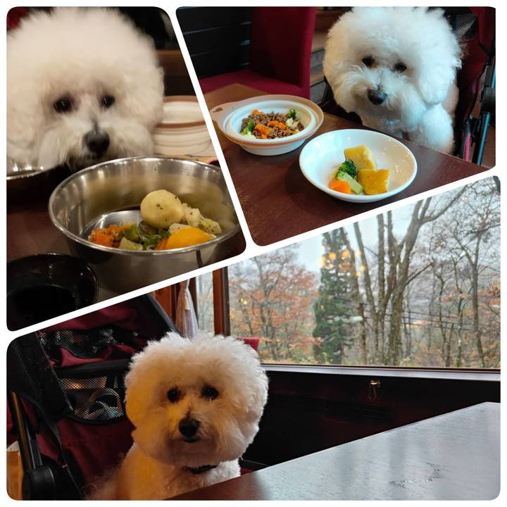 03592e2b cbe0 49d4 8691 50b5514bd6a2 1762675875114