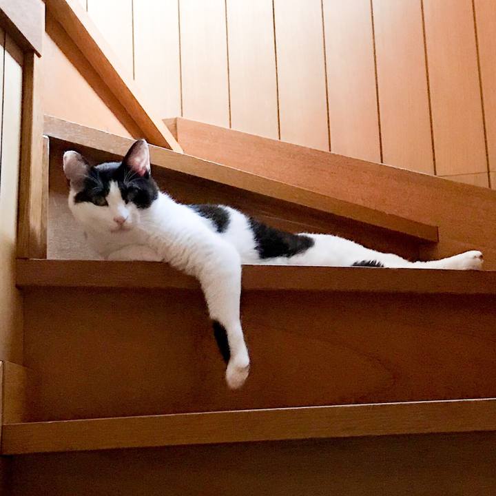 0359776b 74bf 427a 9fa8 66cbc56fb308 1530756728450