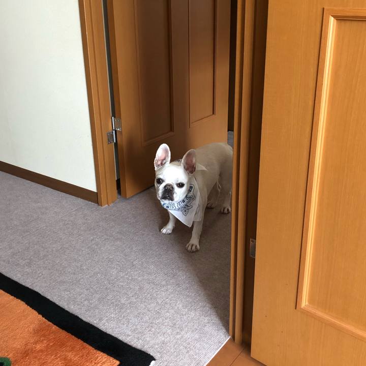 03598ff7 834a 44ba bf0e 869166790ed7 1626345445673