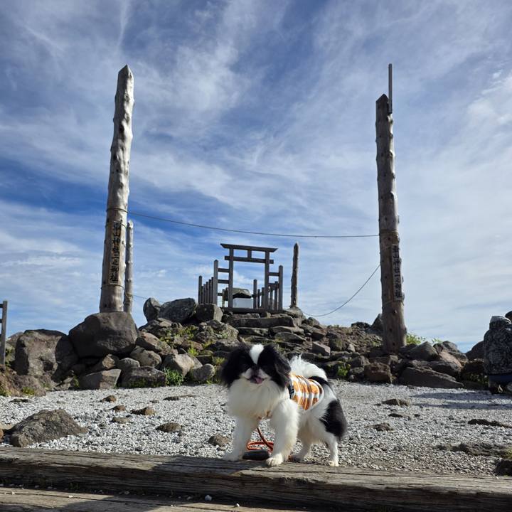 03599267 d62d 4fbc abb6 2f5460e93d1f 1752835788484