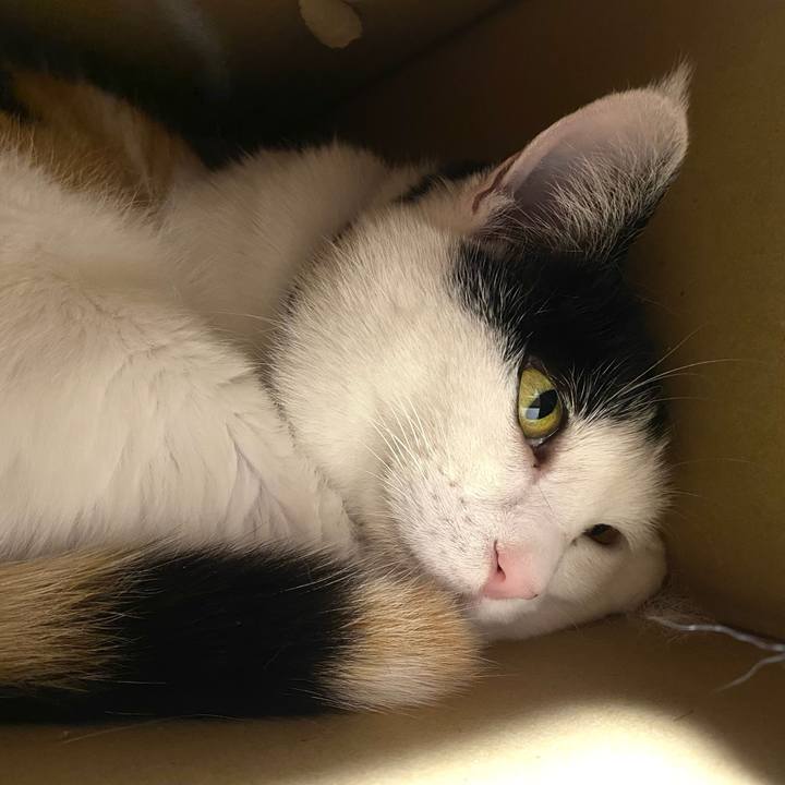 03599d92 3afb 4403 9649 cf667bffddbc 1652703424589