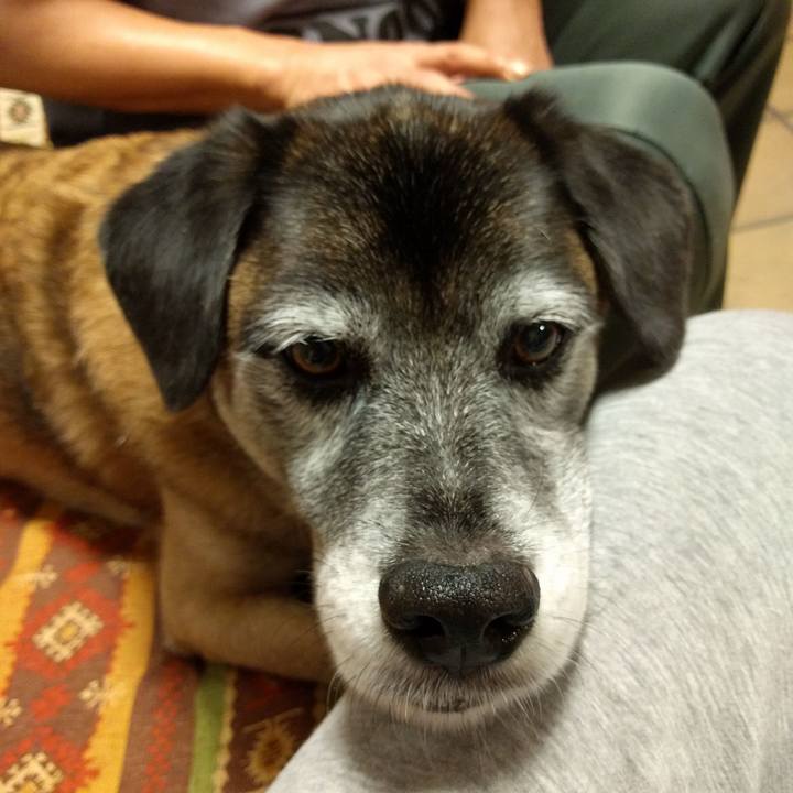 0359a603 e5f4 4cfb 94ad fe34a8d88b18 1509458941112