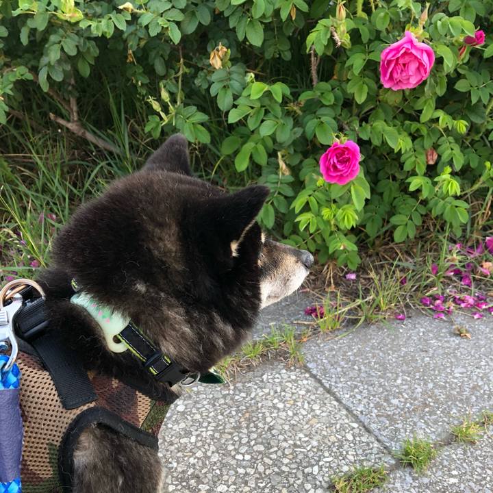 0359bc1d 298e 4820 8412 b5c7dcd87f4e 1560125626317