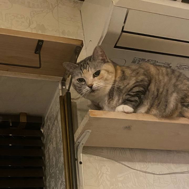 0359c582 53d7 4322 9c8f f8c4145cfb24 1729981243628