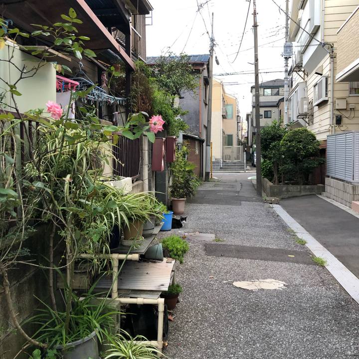 0359e3aa 8644 40ae 991c 46eebe1434e8 1569074310903