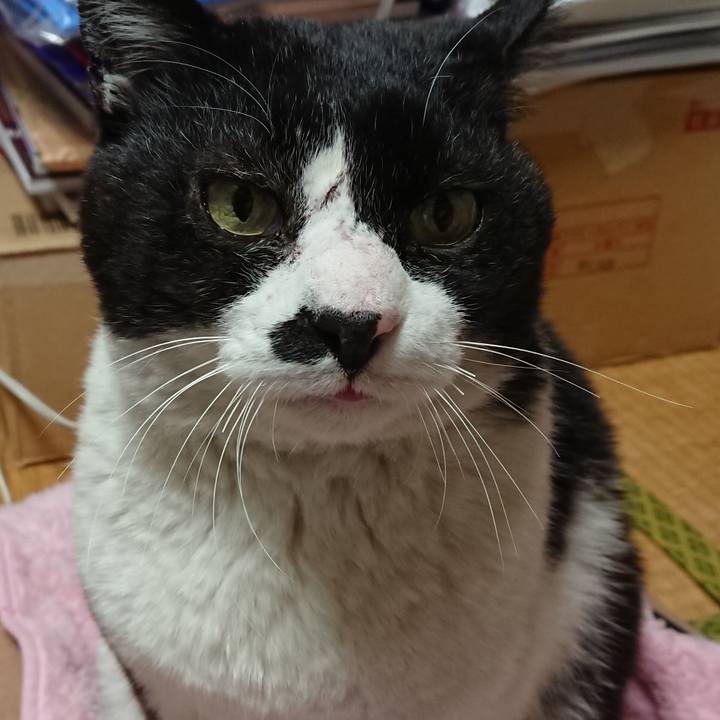 035a1611 477a 4090 9836 c7c7d27c5fd1 1610531030864