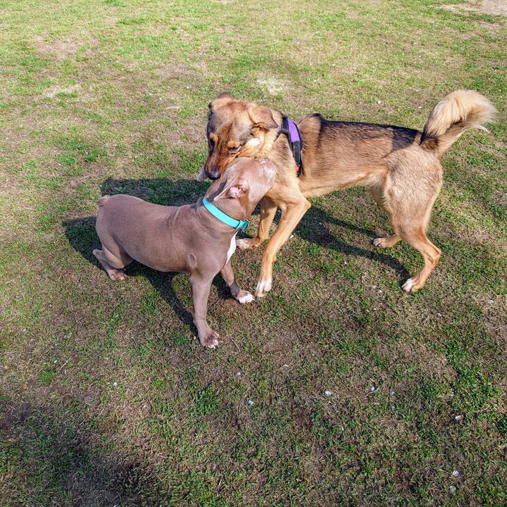 035a3455 d865 4ae7 b2de 96077f9ac84a 1712972164923