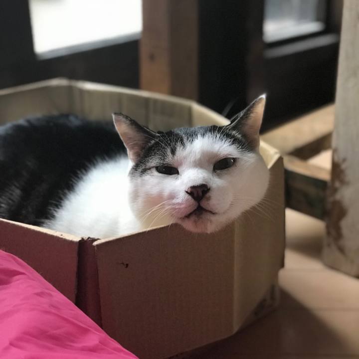 035a34c6 2a6d 4a2e b469 f5be69a3197e 1510618922810