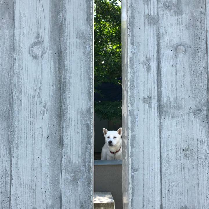 035a43ac e4ce 4279 824c 05a1345b8bdc 1525417643964