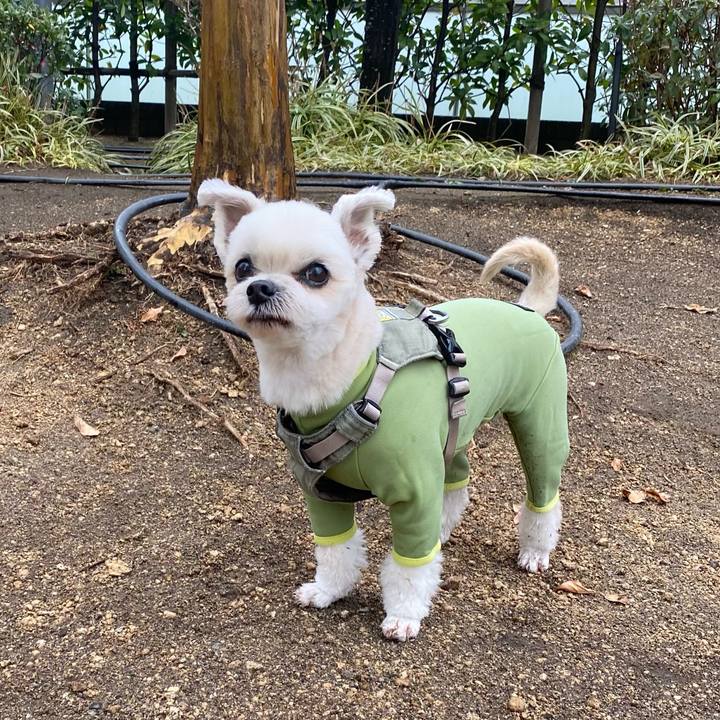 035a5dce b559 4df4 8ac7 47c18d63bb1a 1765691446136