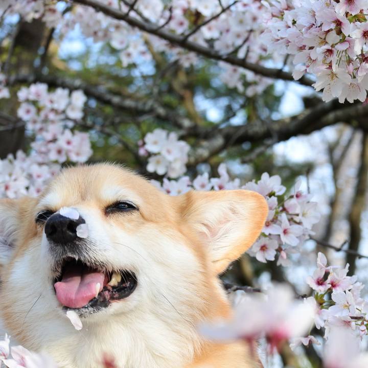 035a762a 837e 44df 9ee6 72ebcbe38fe6 1730563440950