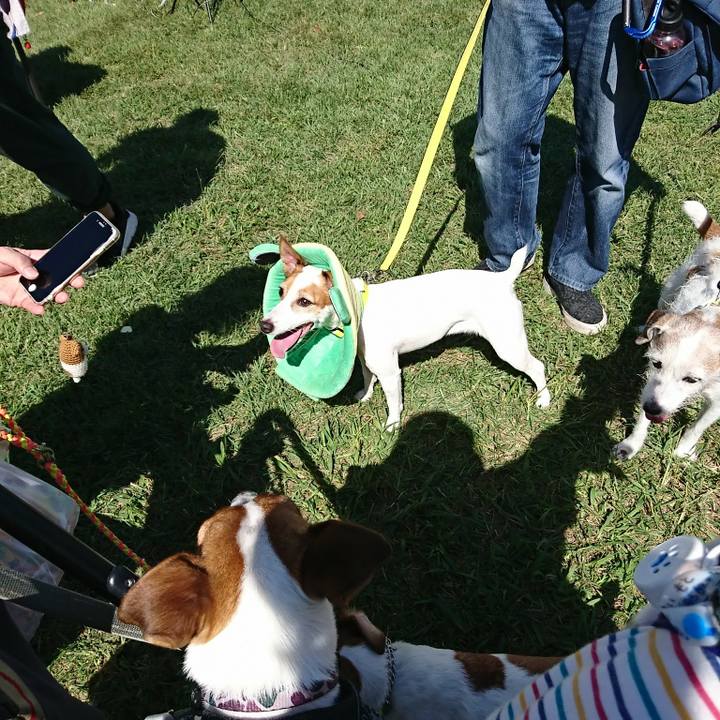 035ab0be 0b43 49ae 91af a522b036344c 1538899175944