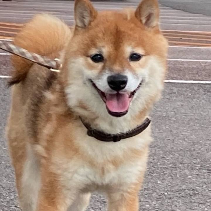 035b086d a735 4c12 b198 1b3809f731ac 1758659811279