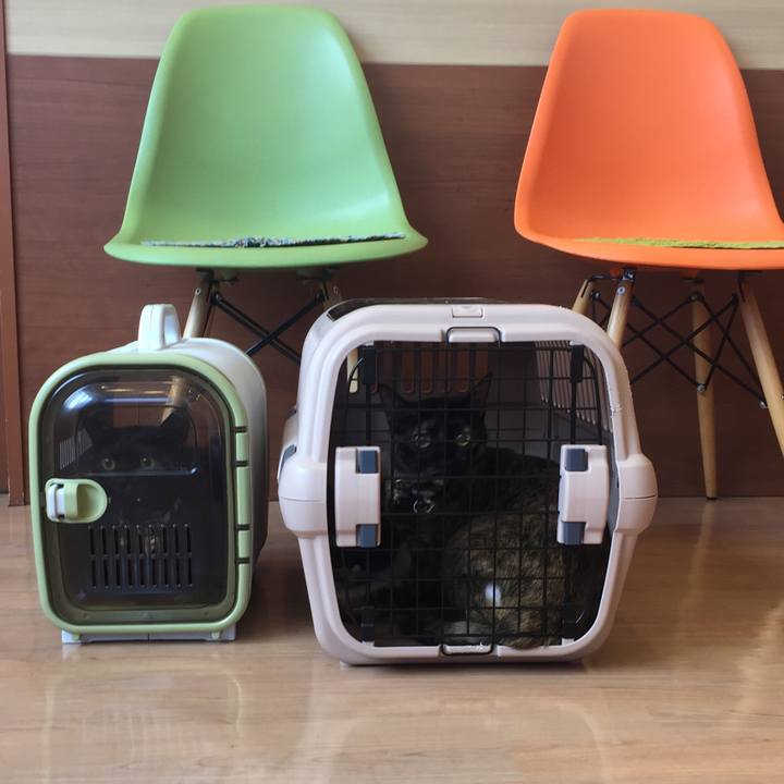 035b2620 6300 4717 856c 6e8f7bd0ec7b 1532136671758