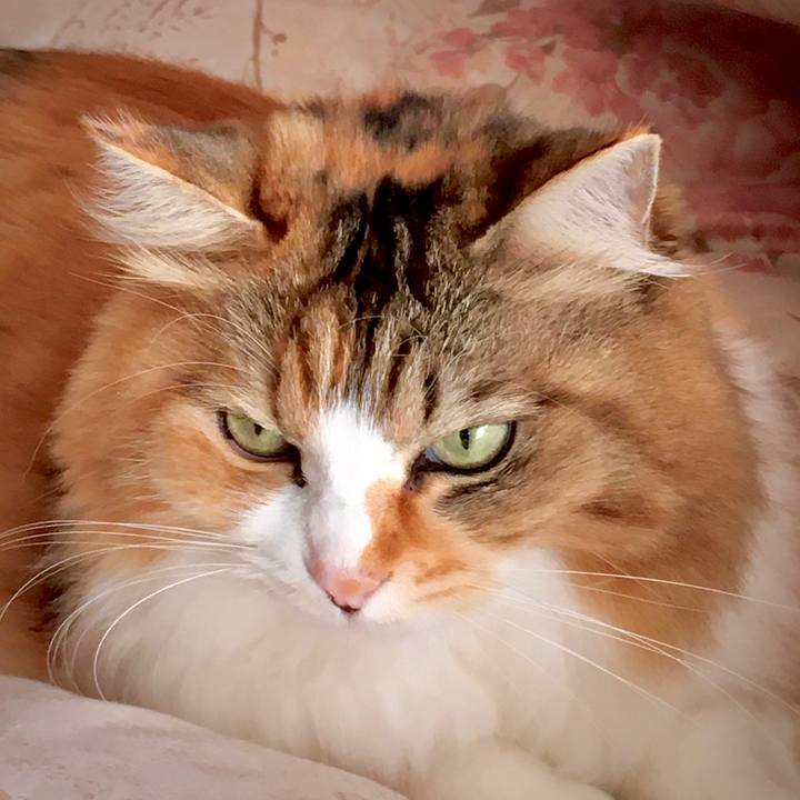 035b3bc5 42d7 4ffe be1b dfb5aafada44 1575860984062