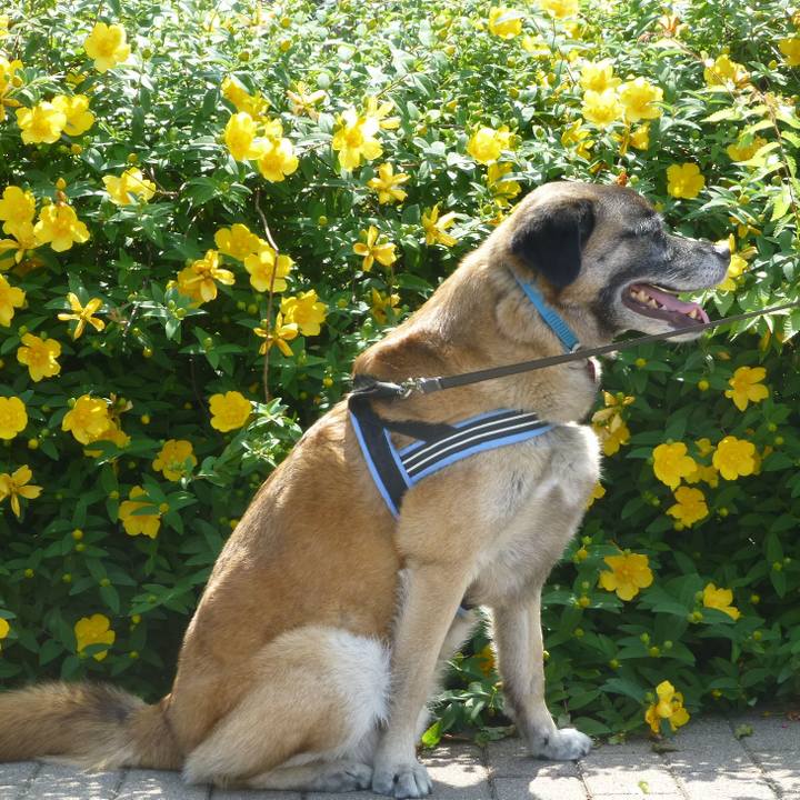 035b70f6 4add 4ef7 85d8 4ef7aa5aaf50 1684753603453