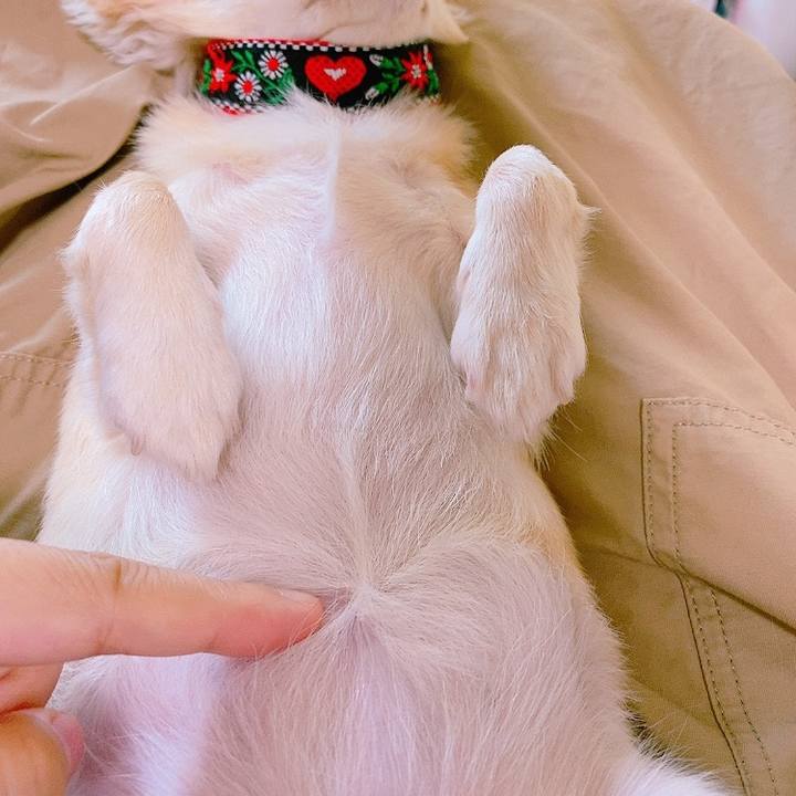 035b7faf d73f 4178 afec 2b7b144df298 1630241560120