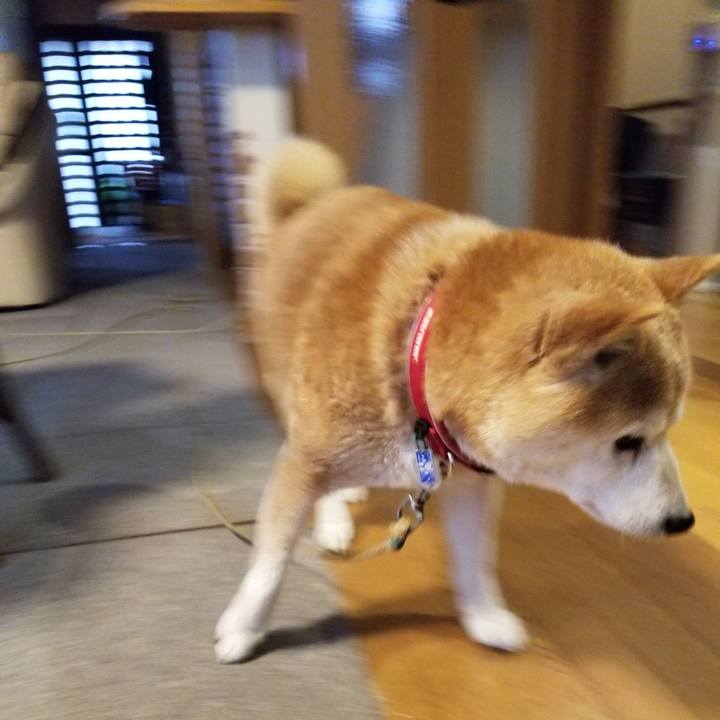 035be08a 3698 48bc 8843 0d701e61f4b4 1714207039590