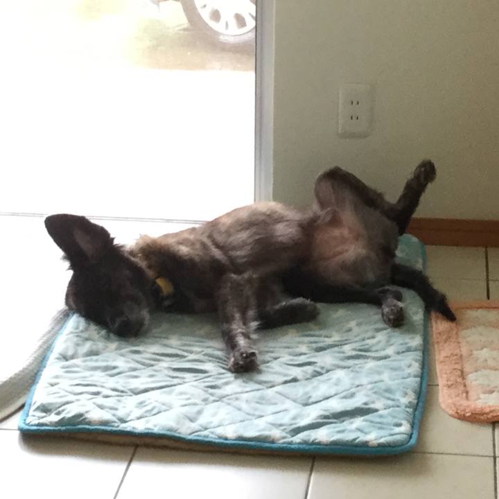 035bebf4 040f 476c a9fa 8a4cc4524312 1603358750714