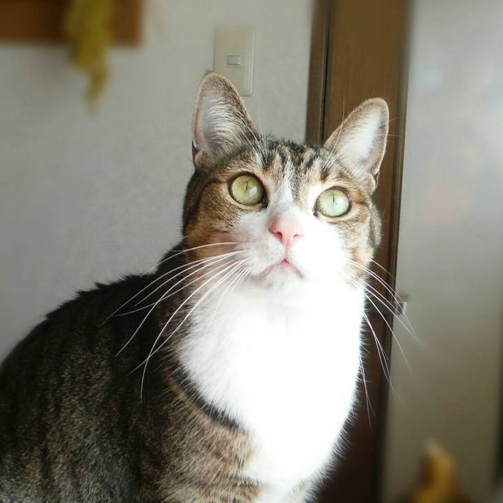 035bfdcd 5847 4683 9e39 f74dddaa6d01 1519354198142