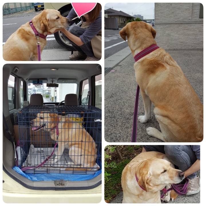 035c36a6 89b9 4635 9658 90dd376f772b 1528530250342