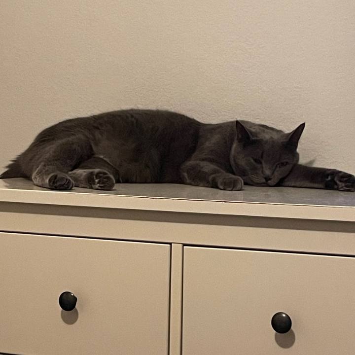 035c3f44 8339 4b61 937d 9ae88534d5e7 1699494698654