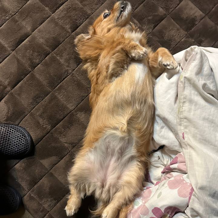 035c5b9c 786f 4d21 a70a 46f1788b847c 1730064339048