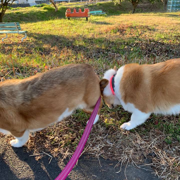 035c5c3b 53a3 40db 9119 025ddce3986c 1580371440917