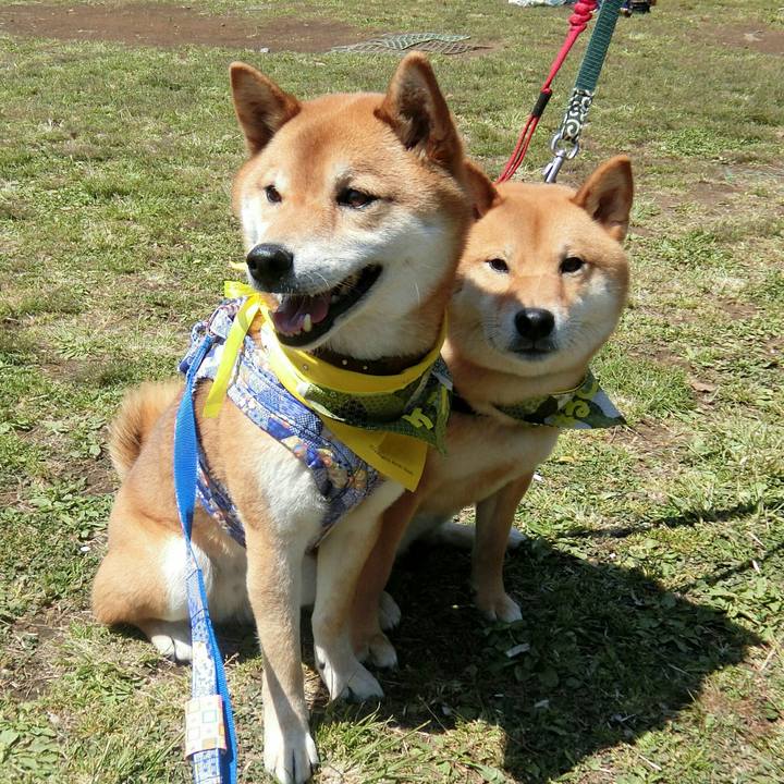 035c768c c756 498f b0bd 65bdff9bd388 1555229081804