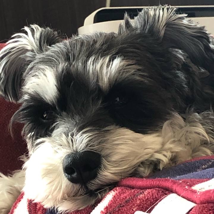 035c997d ee5c 45c6 9485 6ddd9a7d2807 1620016027543