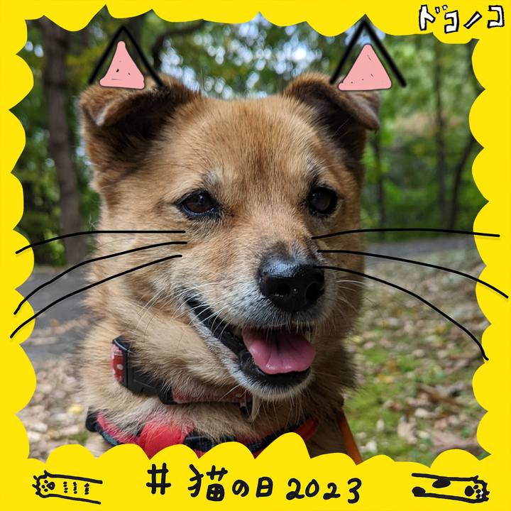 035ca259 6388 4bee 8120 3804a12b0acf 1677048534181