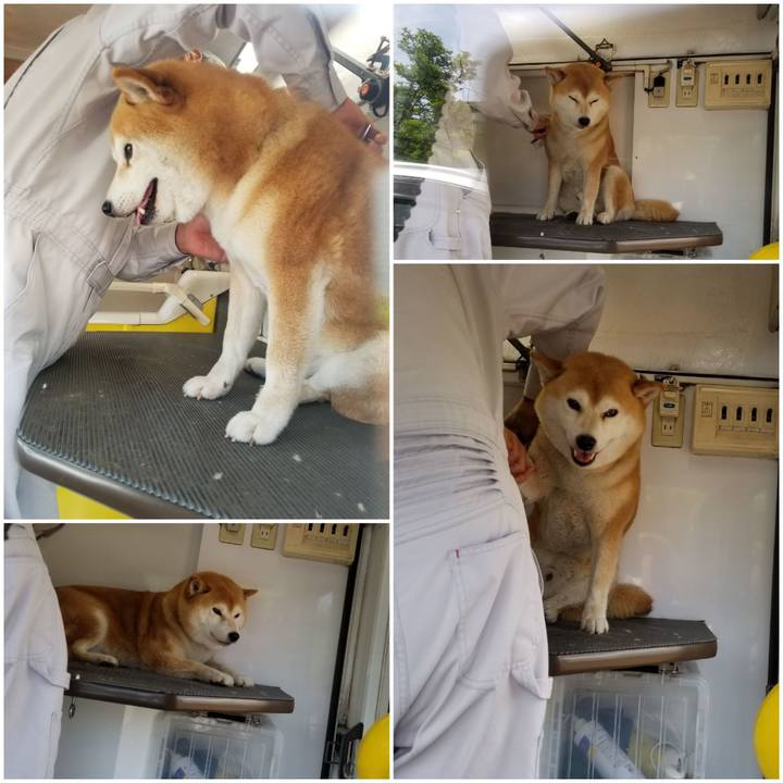 035cb7a8 177f 4028 8f54 47a816d96b0e 1590625552777