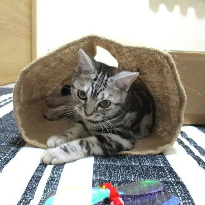 035cd27e b854 4259 a028 91642e2f758d 1539336093963