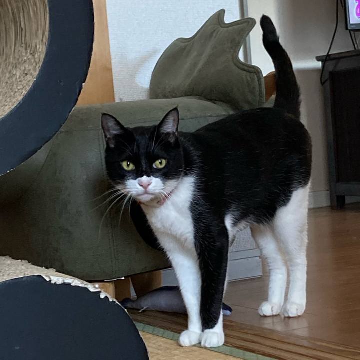 035ce0cd 3bd4 46d8 907d f0f24854a3a0 1651265085890