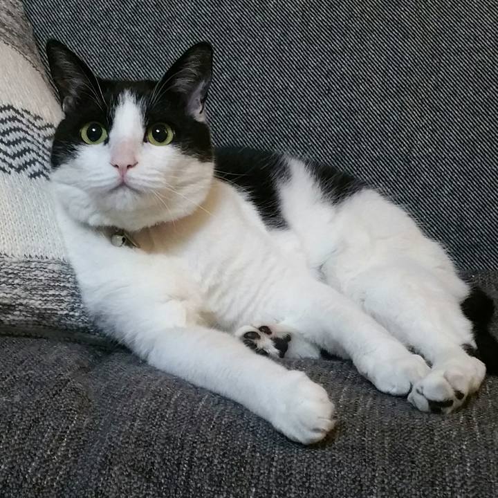 035d0146 a7df 452f af90 115d378d928a 1559736224911